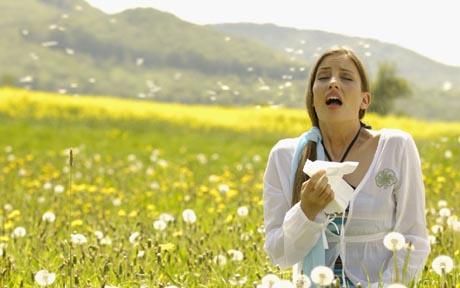 Allergies: Understanding and Managing Your Triggers